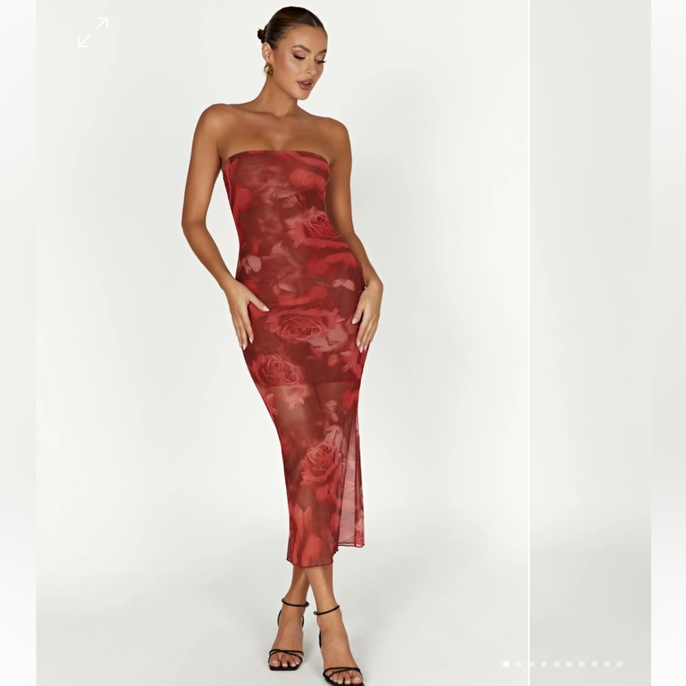 NWT - Meshki Aphrodite Strapless Mesh Dress - Oversized Rose Print